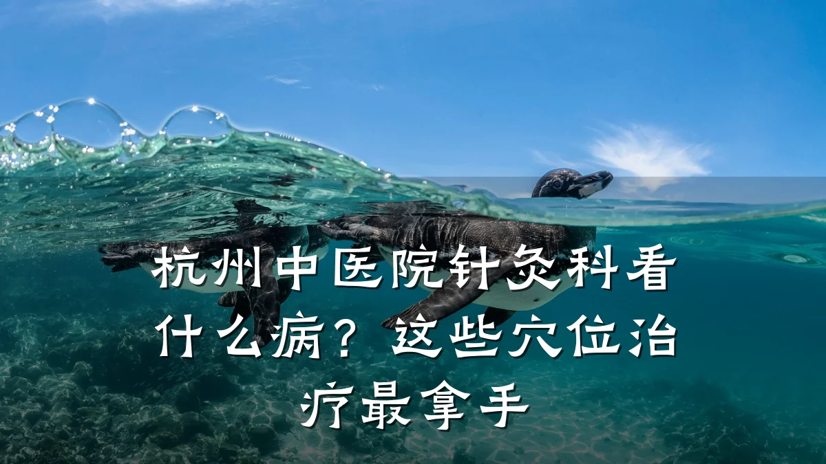 杭州中医院针灸科看什么病?这些穴位治疗最拿手
