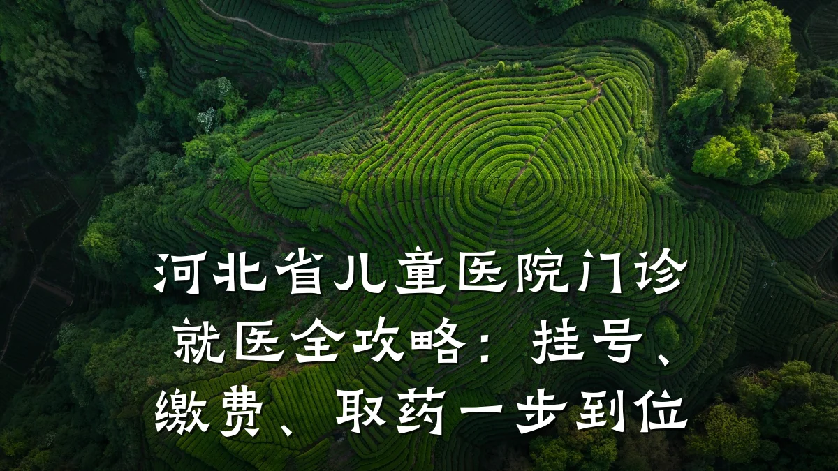 河北省儿童医院门诊就医全攻略:挂号、缴费、取药一步到位