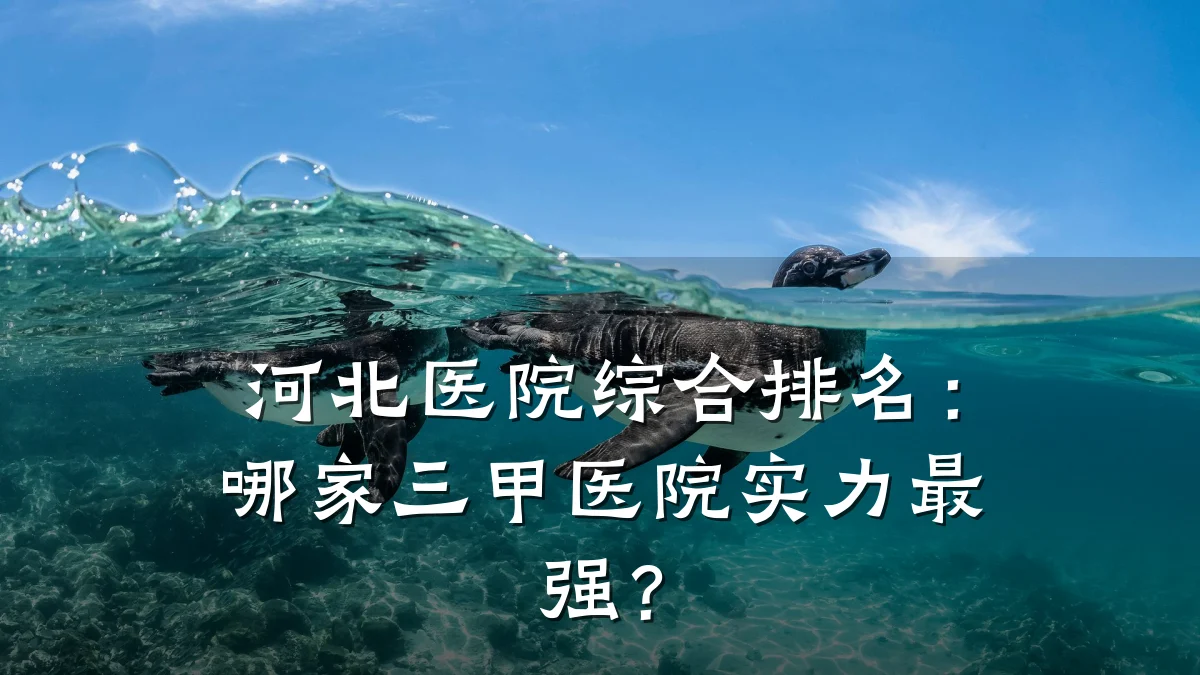 河北医院综合排名:哪家三甲医院实力最强?