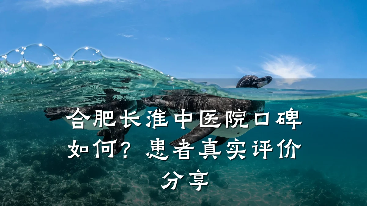 合肥长淮中医院口碑如何?患者真实评价分享
