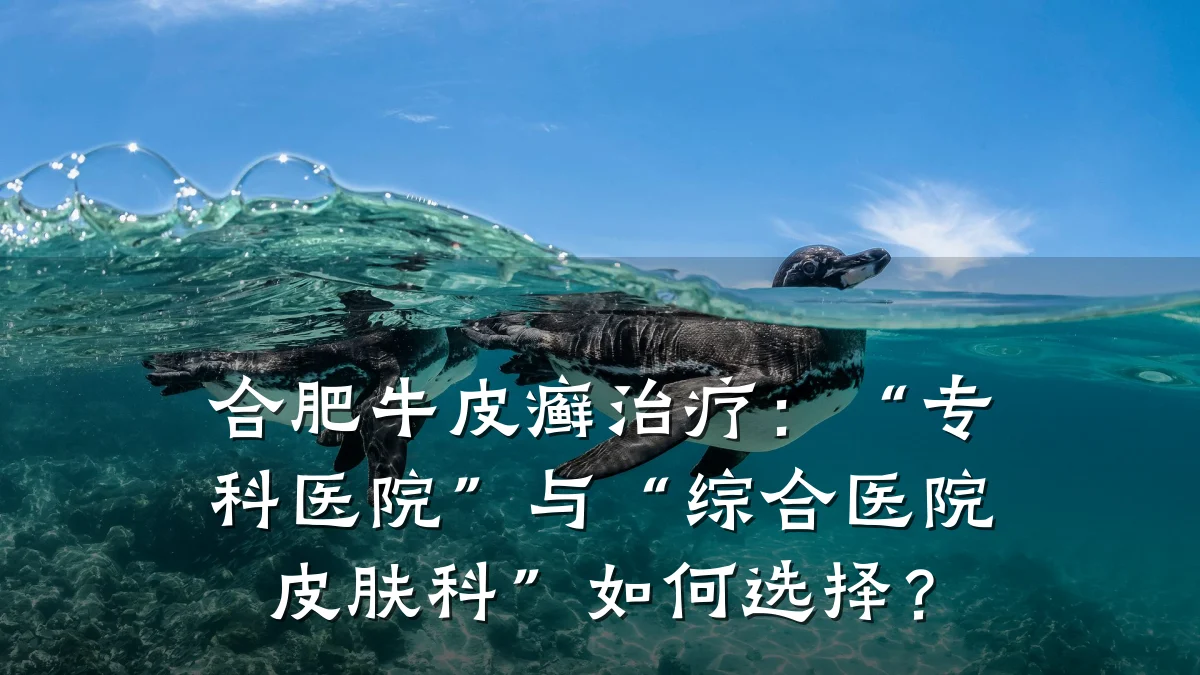 合肥牛皮癣治疗:“专科医院”与“综合医院皮肤科”如何选择?