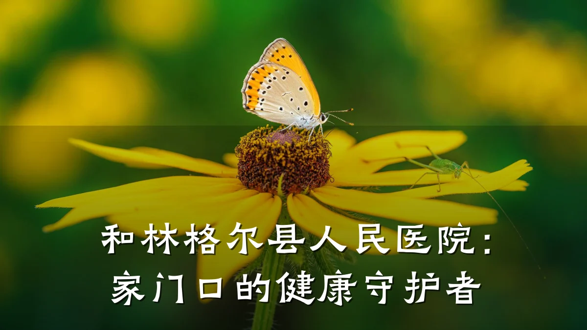 和林格尔县人民医院:家门口的健康守护者