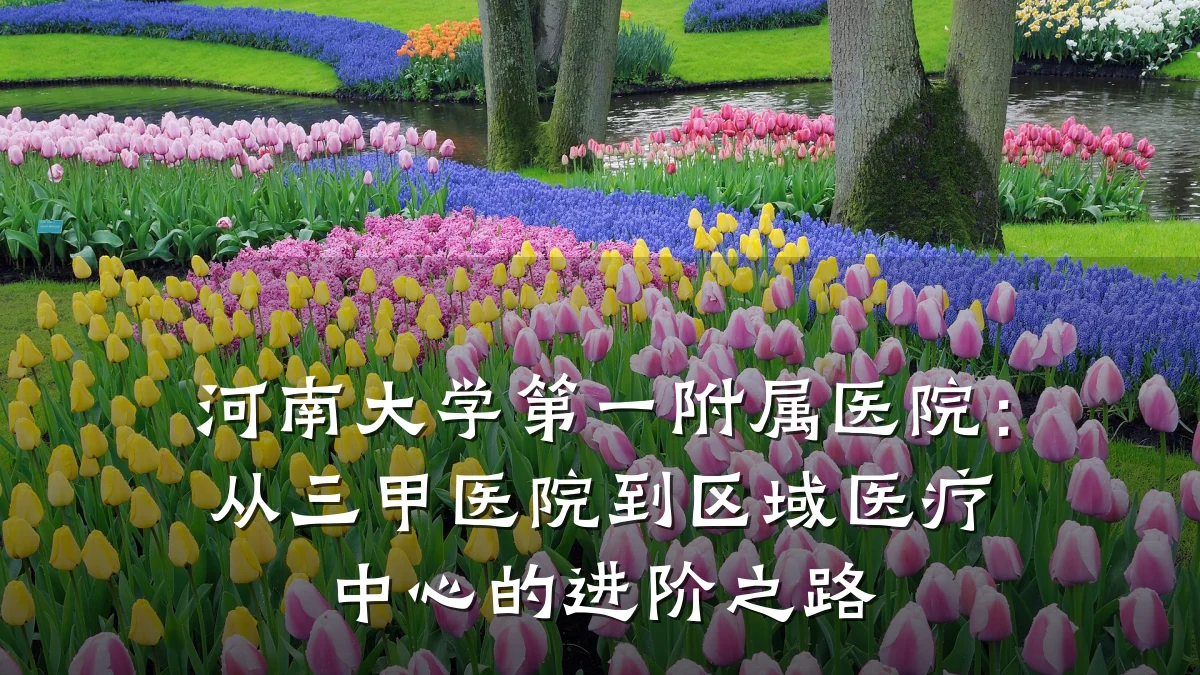 河南大学第一附属医院：从三甲医院到区域医疗中心的进阶之路