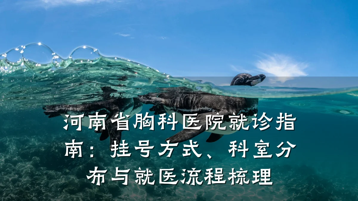 河南省胸科医院就诊指南:挂号方式、科室分布与就医流程梳理