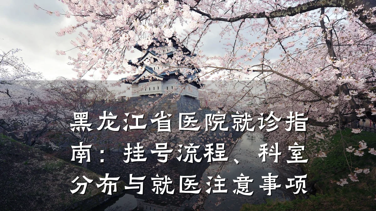 黑龙江省医院就诊指南:挂号流程、科室分布与就医注意事项