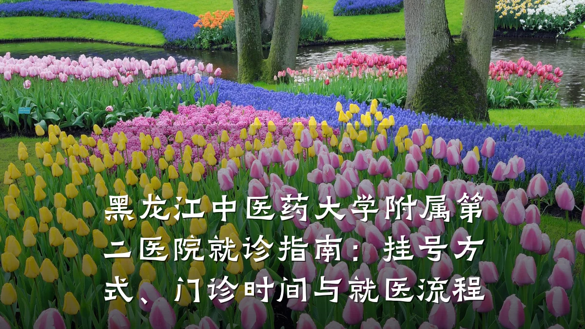 黑龙江中医药大学附属第二医院就诊指南:挂号方式、门诊时间与就医流程