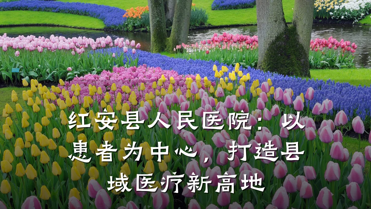 红安县人民医院:以患者为中心,打造县域医疗新高地