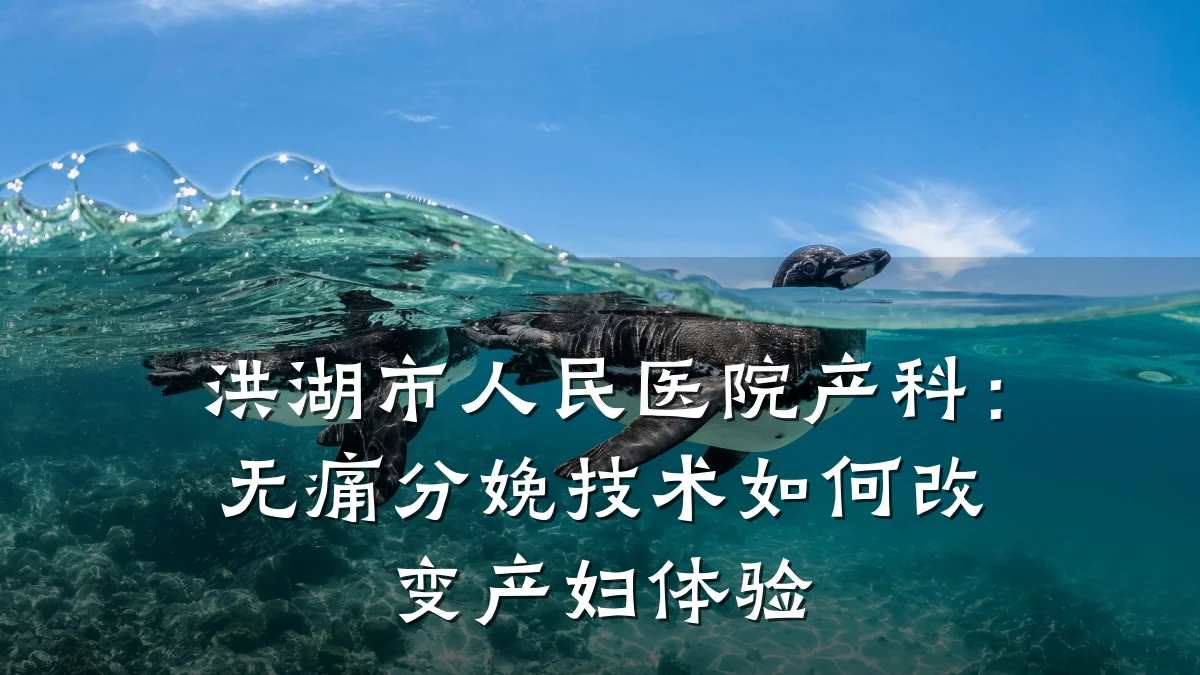 洪湖市人民医院产科:无痛分娩技术如何改变产妇体验