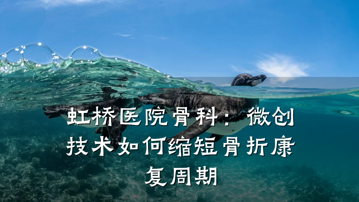 虹桥医院骨科:微创技术如何缩短骨折康复周期