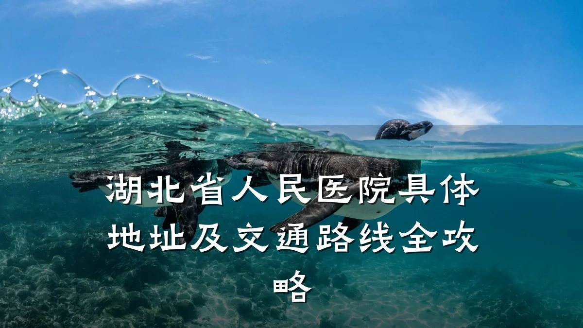 湖北省人民医院具体地址及交通路线全攻略