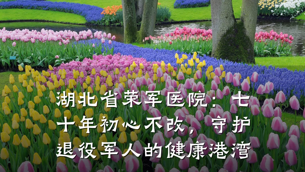 湖北省荣军医院:七十年初心不改,守护退役军人的健康港湾