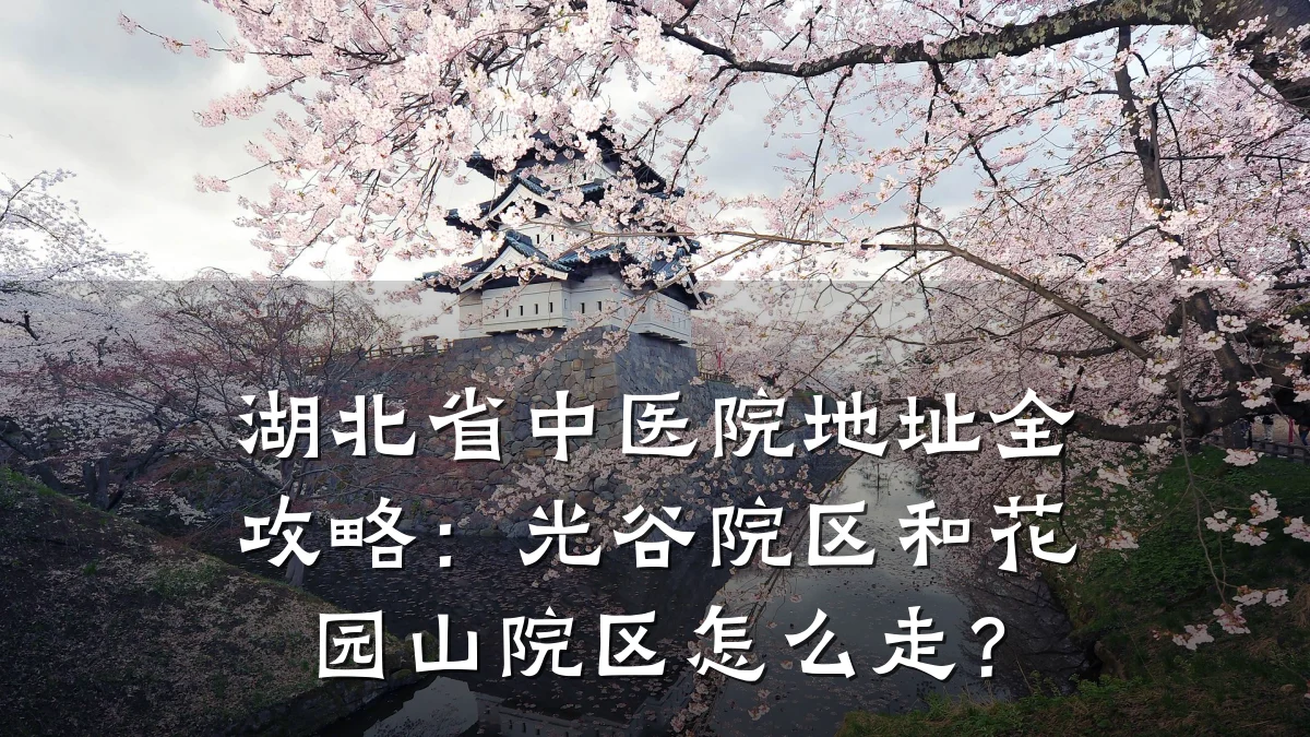 湖北省中医院地址全攻略：光谷院区和花园山院区怎么走？