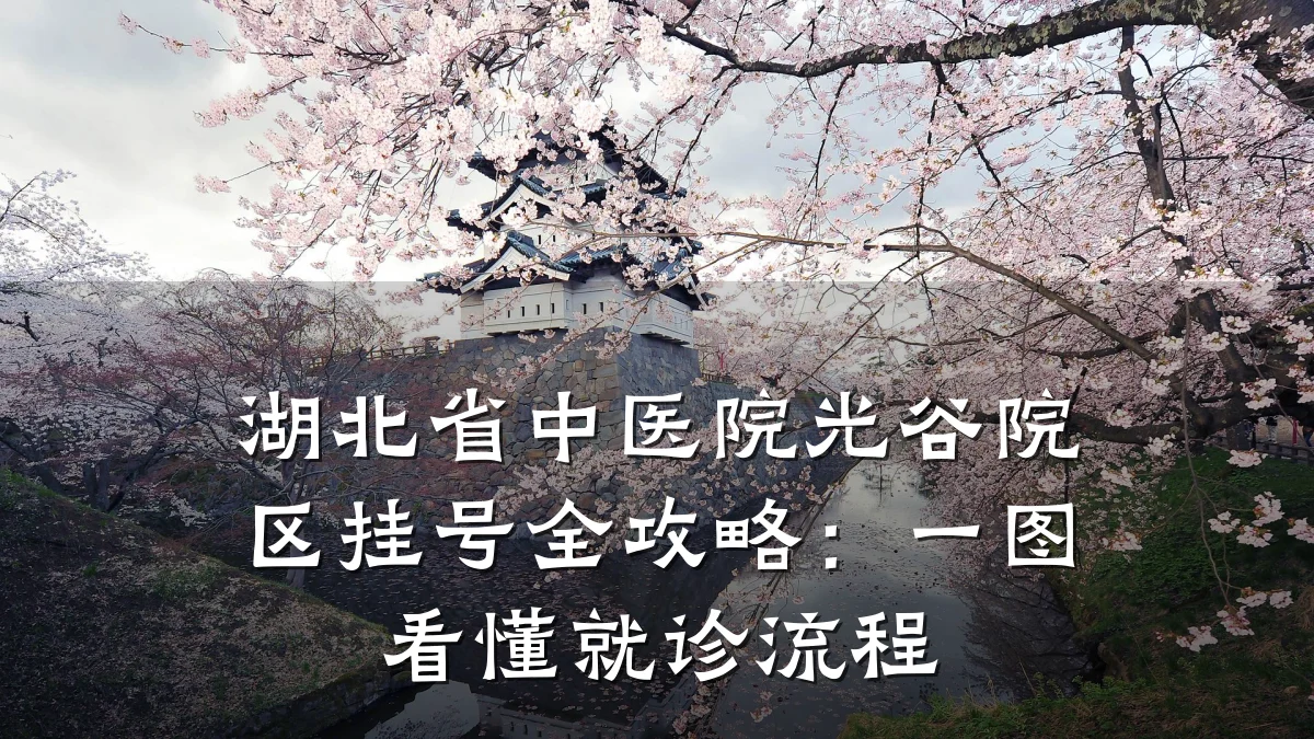湖北省中医院光谷院区挂号全攻略:一图看懂就诊流程