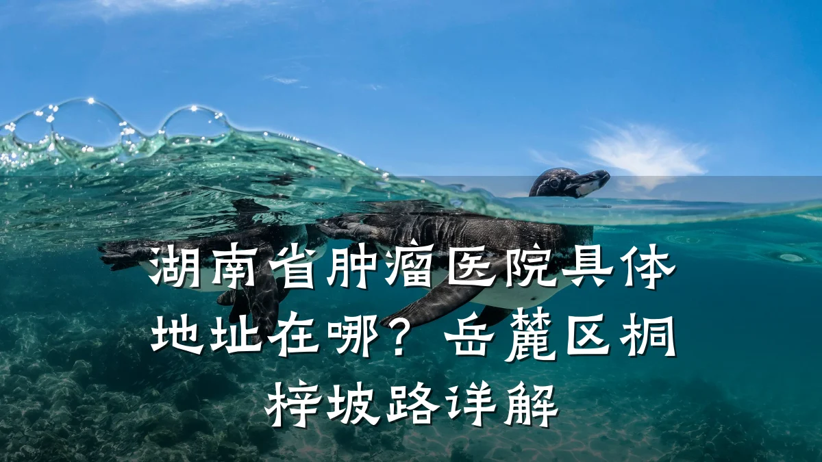 湖南省肿瘤医院具体地址在哪?岳麓区桐梓坡路详解