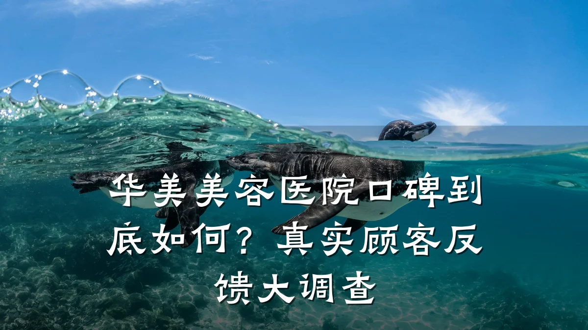 华美美容医院口碑到底如何?真实顾客反馈大调查