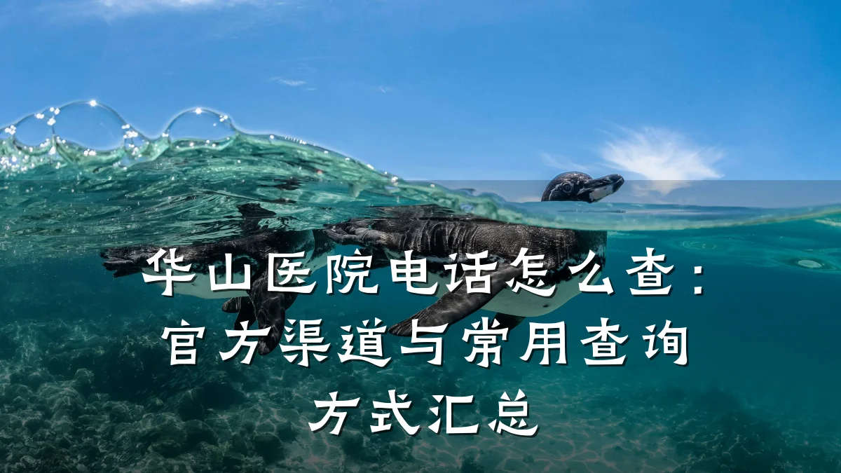 华山医院电话怎么查：官方渠道与常用查询方式汇总