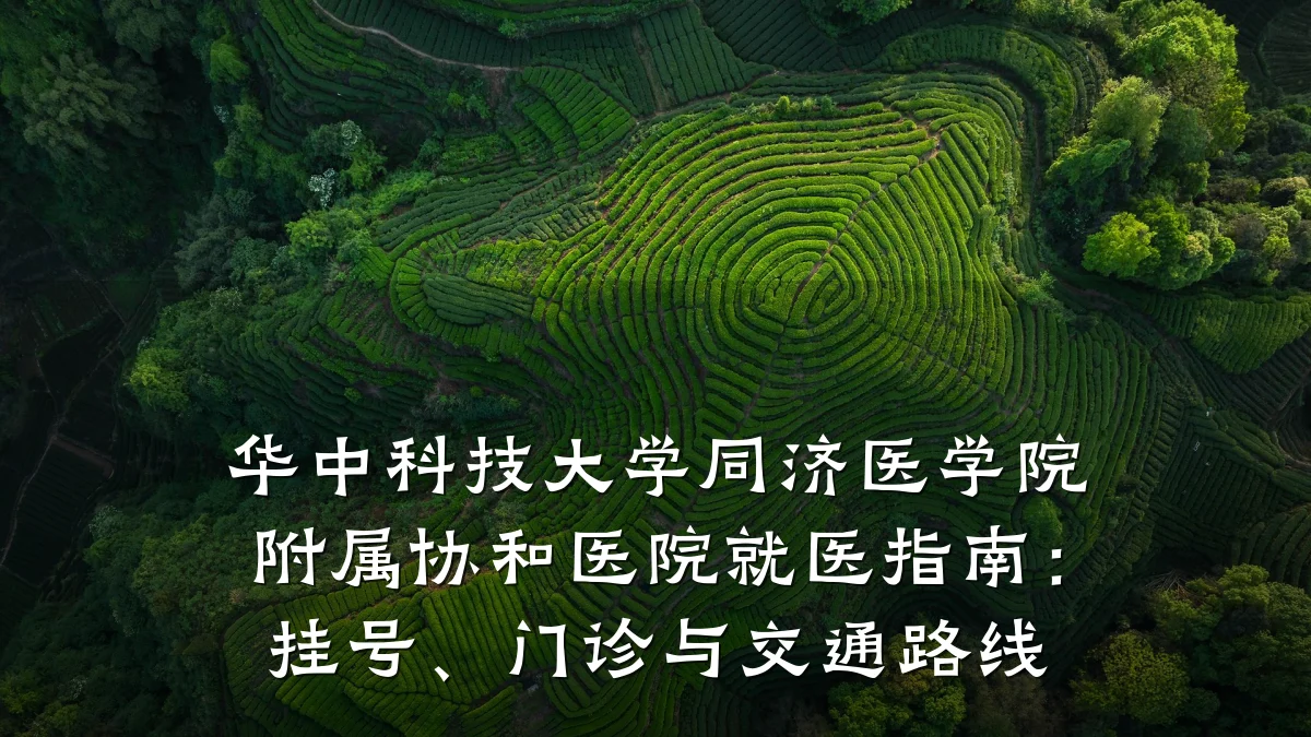 华中科技大学同济医学院附属协和医院就医指南:挂号、门诊与交通路线