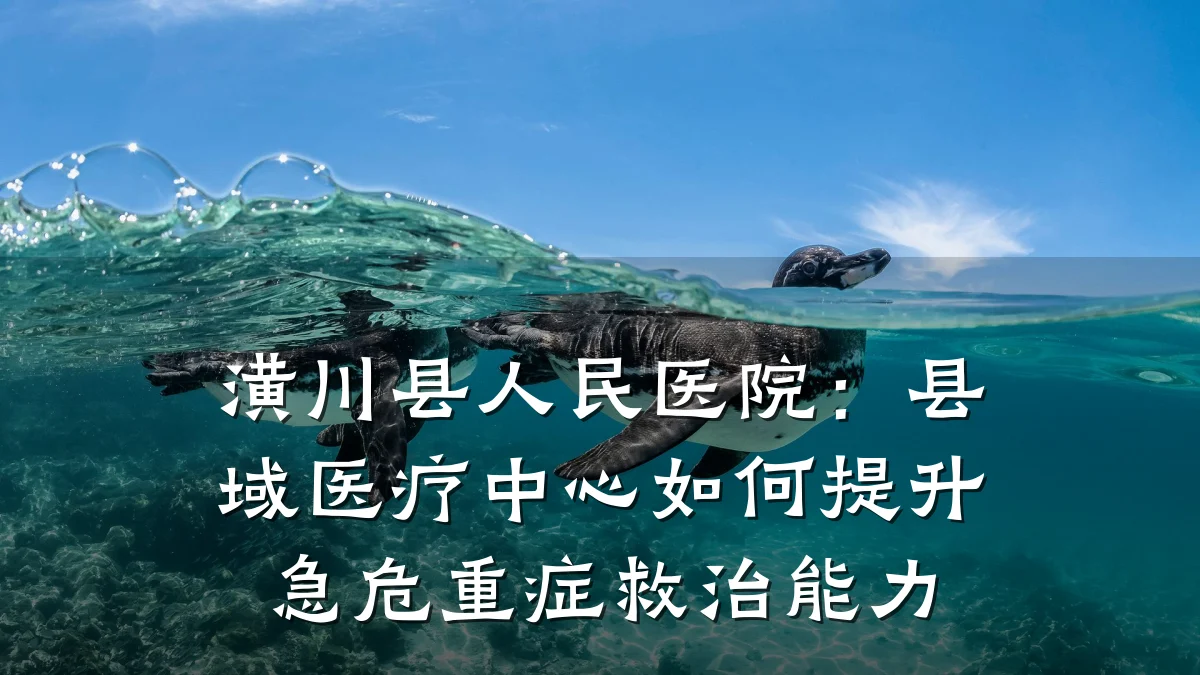 潢川县人民医院:县域医疗中心如何提升急危重症救治能力