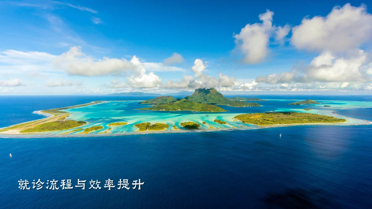 就诊流程与效率提升