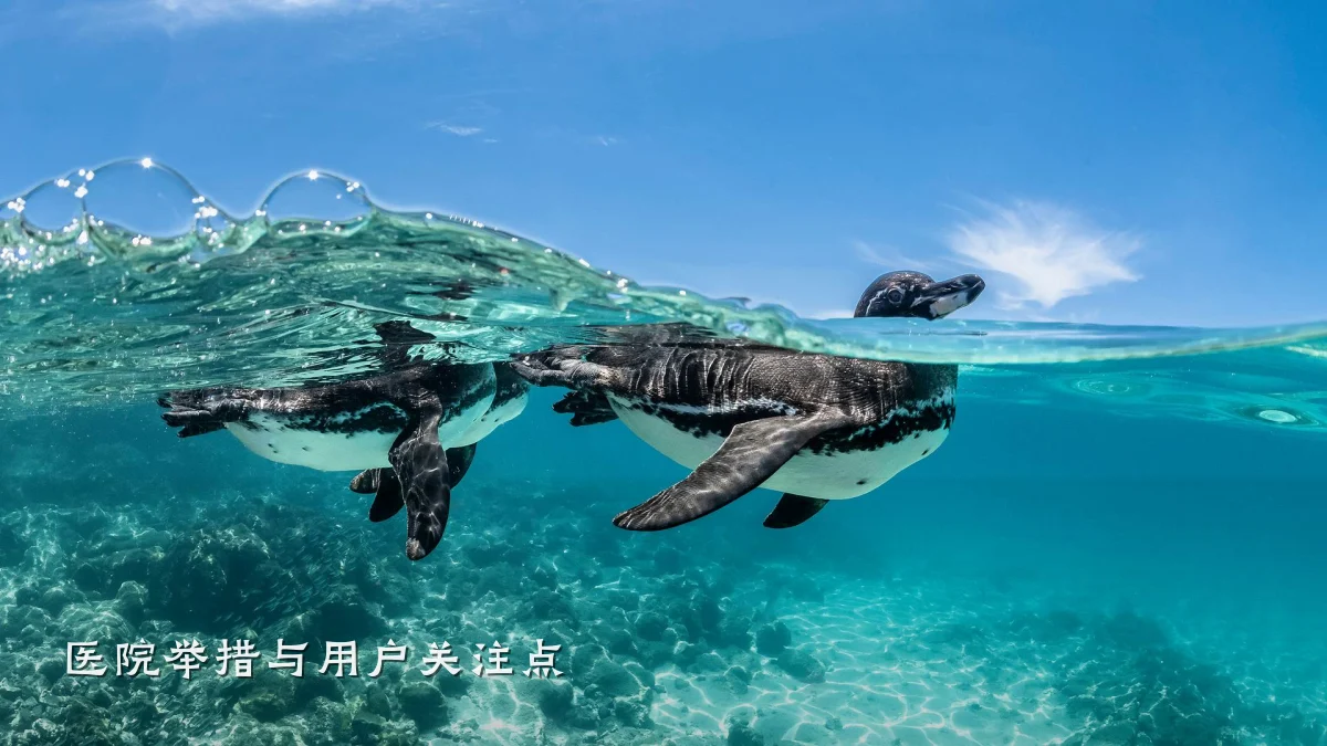 医院举措与用户关注点