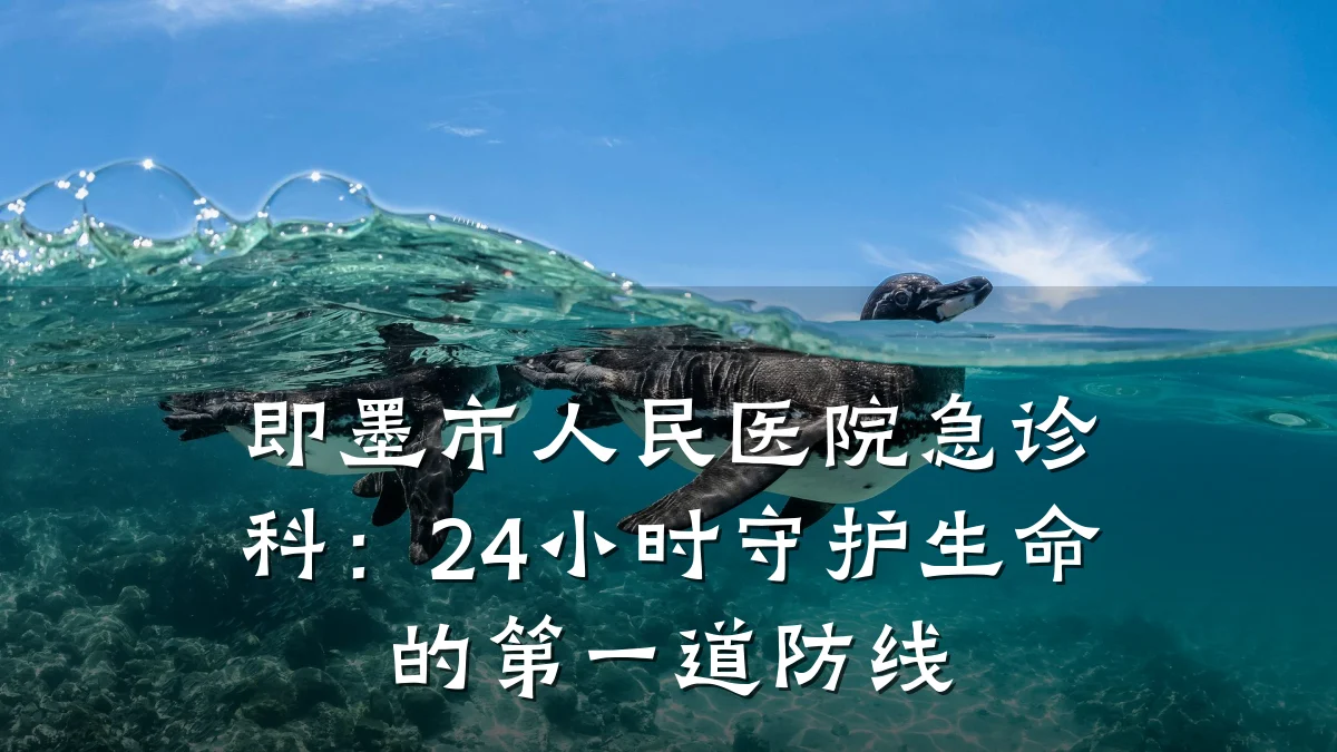 即墨市人民医院急诊科:24小时守护生命的第一道防线