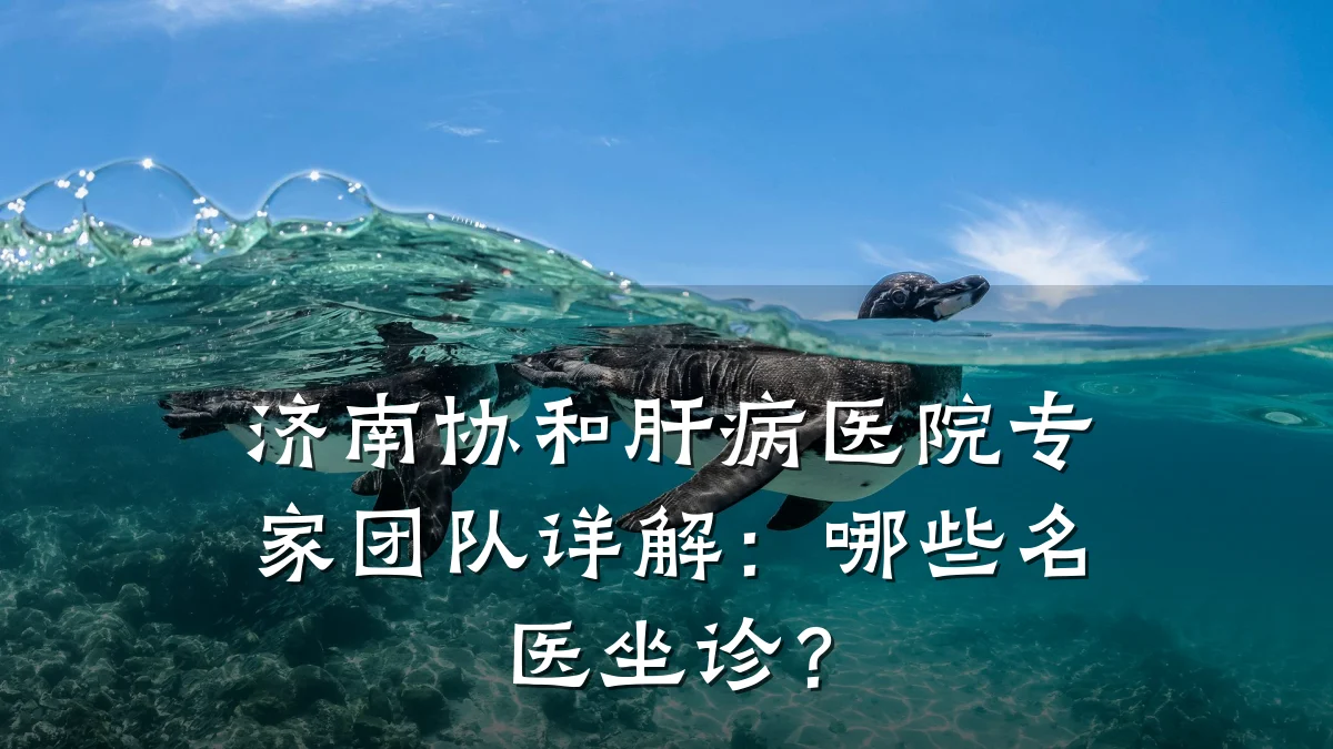 济南协和肝病医院专家团队详解:哪些名医坐诊?