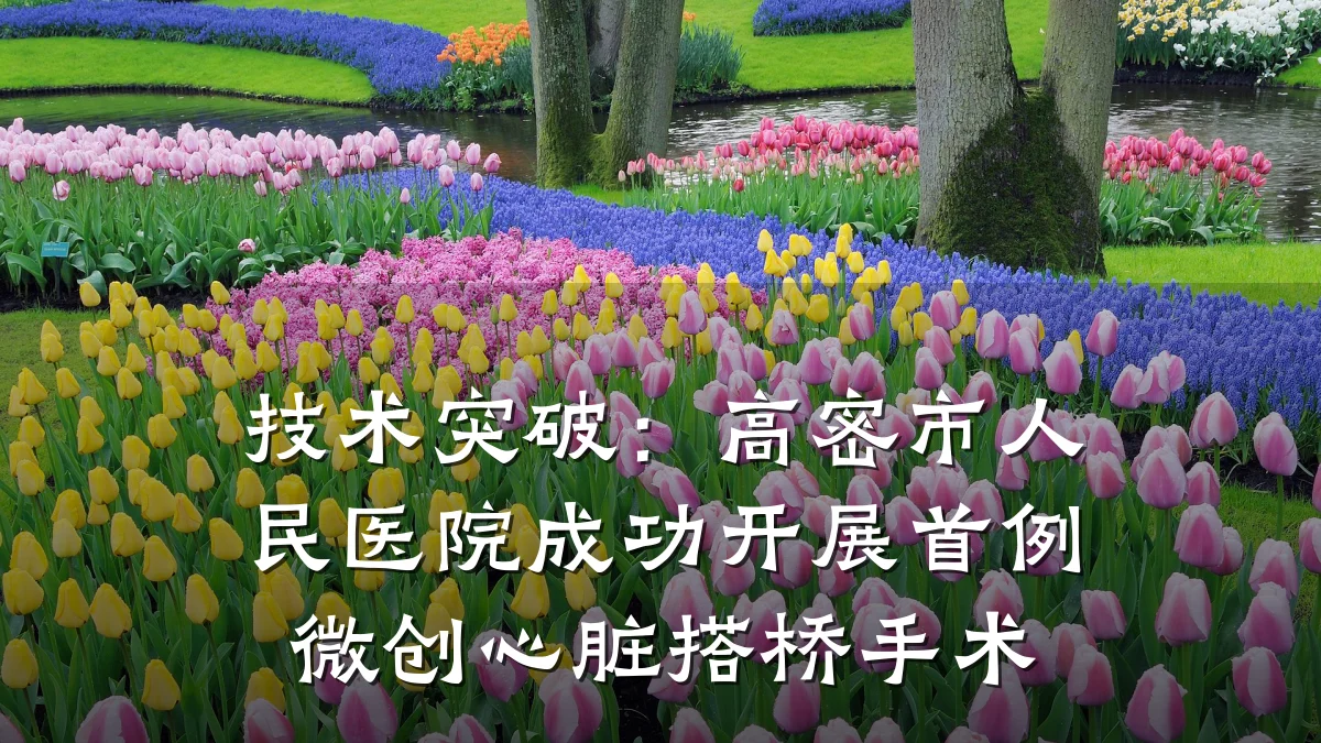 技术突破:高密市人民医院成功开展首例微创心脏搭桥手术