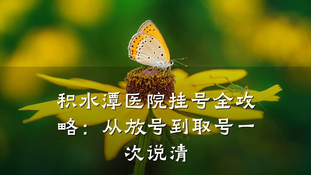 积水潭医院挂号全攻略:从放号到取号一次说清