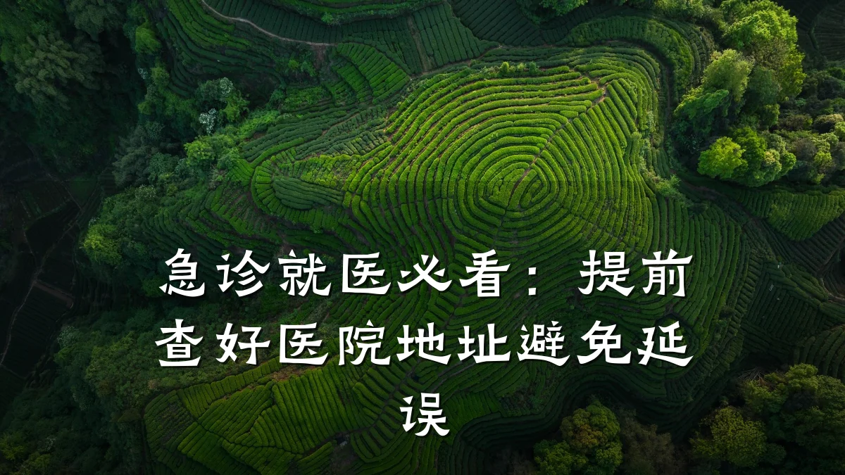 急诊就医必看:提前查好医院地址避免延误
