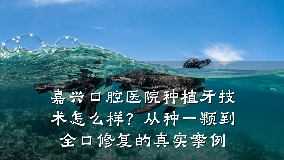 嘉兴口腔医院种植牙技术怎么样?从种一颗到全口修复的真实案例
