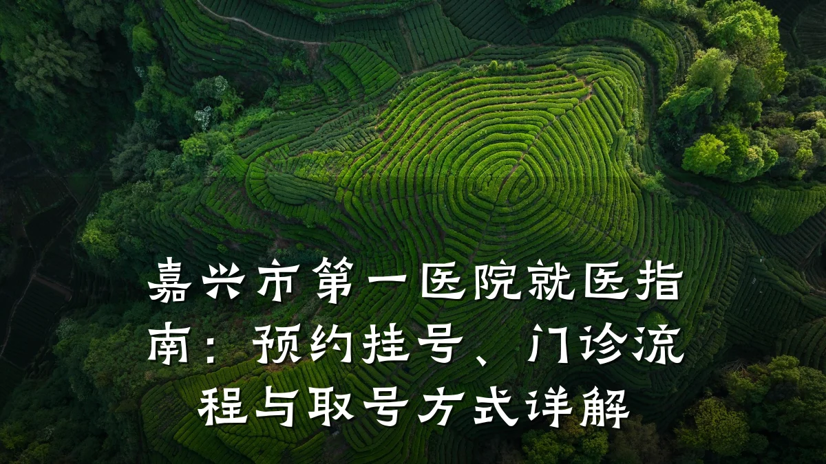 嘉兴市第一医院就医指南:预约挂号、门诊流程与取号方式详解