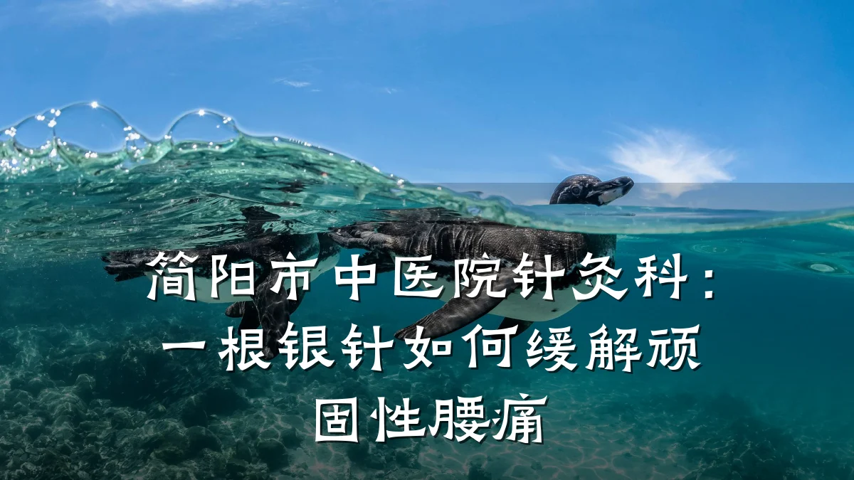 简阳市中医院针灸科:一根银针如何缓解顽固性腰痛