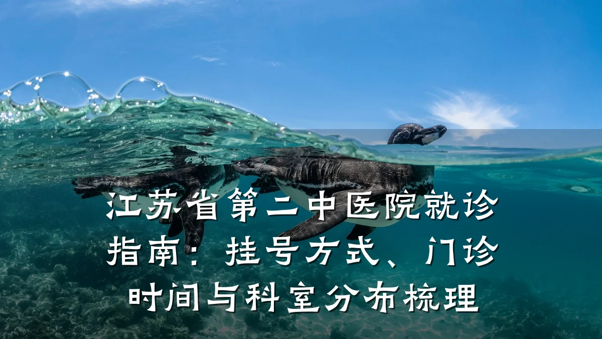 江苏省第二中医院就诊指南:挂号方式、门诊时间与科室分布梳理