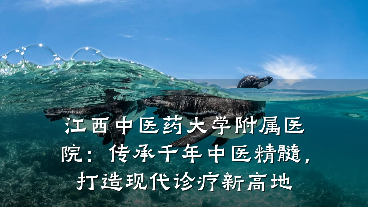 江西中医药大学附属医院:传承千年中医精髓,打造现代诊疗新高地
