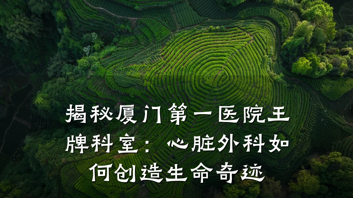 揭秘厦门第一医院王牌科室:心脏外科如何创造生命奇迹