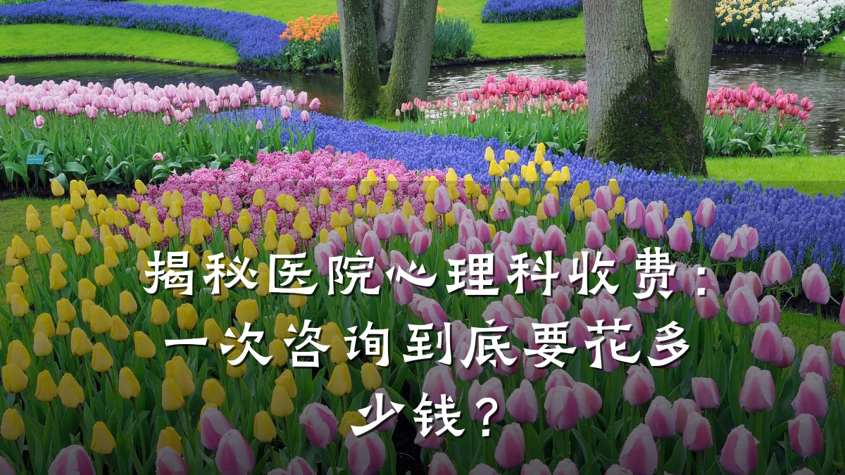揭秘医院心理科收费:一次咨询到底要花多少钱?