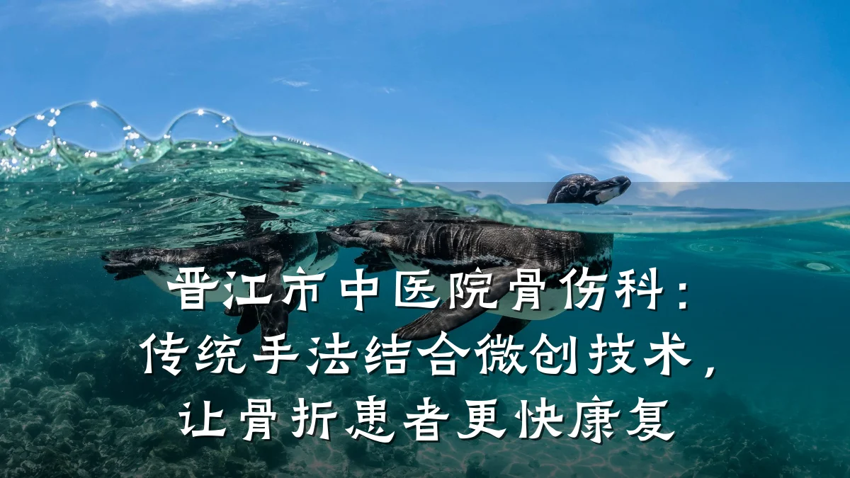 晋江市中医院骨伤科:传统手法结合微创技术,让骨折患者更快康复