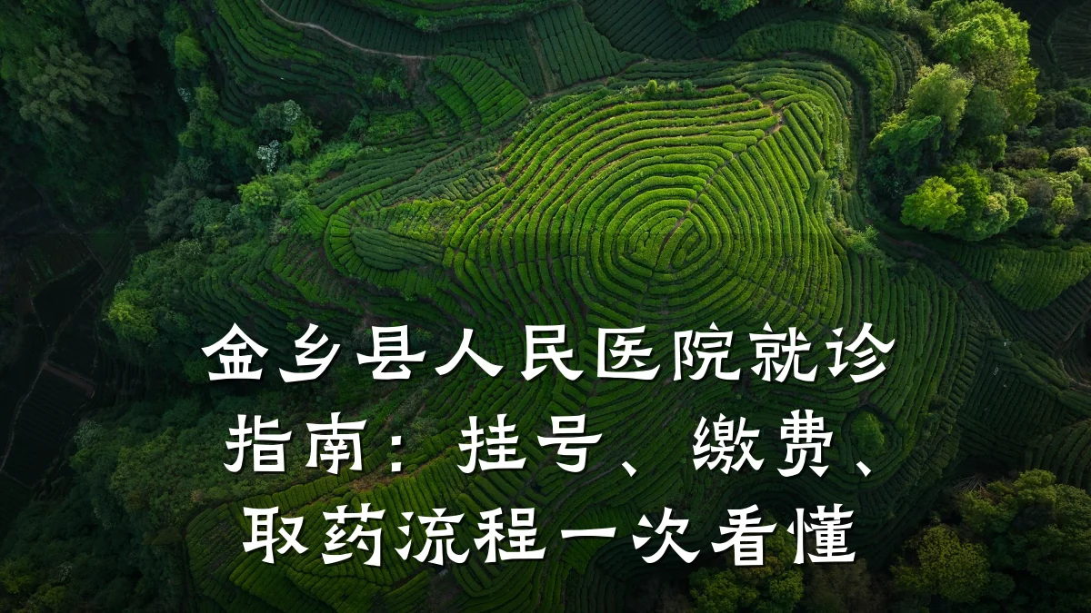 金乡县人民医院就诊指南：挂号、缴费、取药流程一次看懂