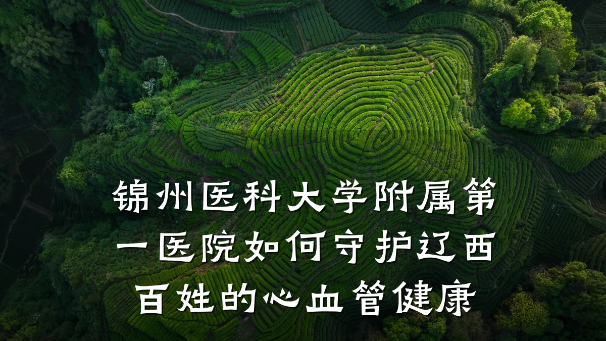 锦州医科大学附属第一医院如何守护辽西百姓的心血管健康
