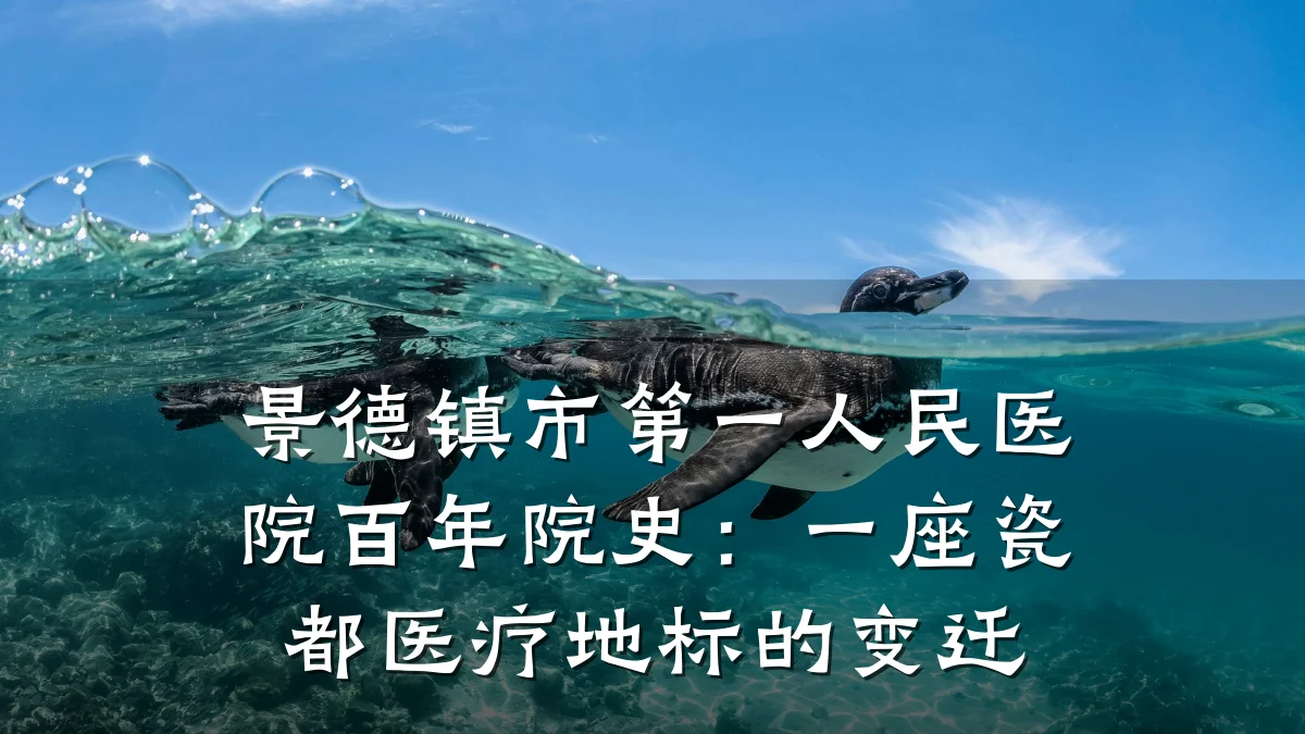 景德镇市第一人民医院百年院史:一座瓷都医疗地标的变迁