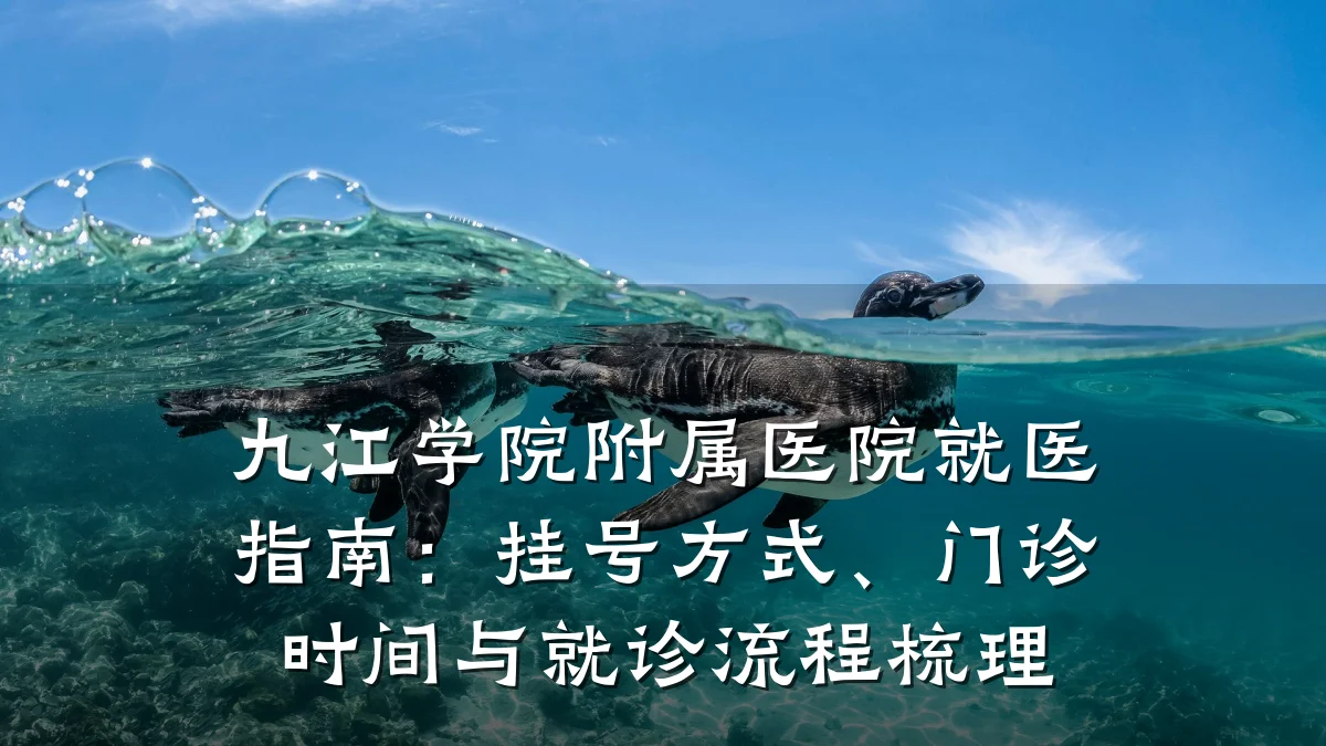 九江学院附属医院就医指南:挂号方式、门诊时间与就诊流程梳理