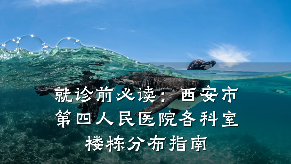 就诊前必读：西安市第四人民医院各科室楼栋分布指南