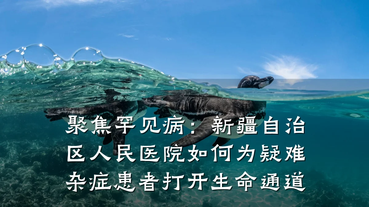 聚焦罕见病:新疆自治区人民医院如何为疑难杂症患者打开生命通道