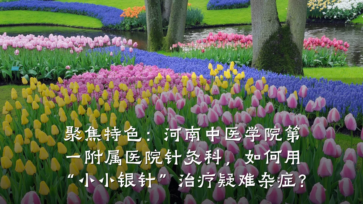 聚焦特色:河南中医学院第一附属医院针灸科,如何用“小小银针”治疗疑难杂症?