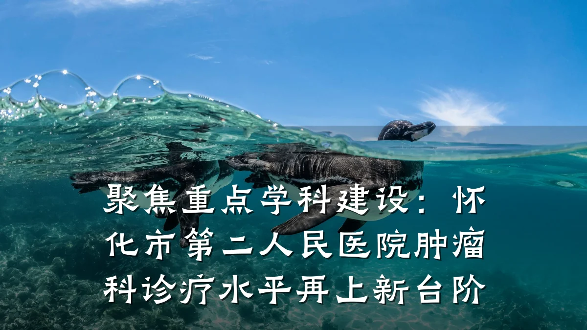 聚焦重点学科建设:怀化市第二人民医院肿瘤科诊疗水平再上新台阶