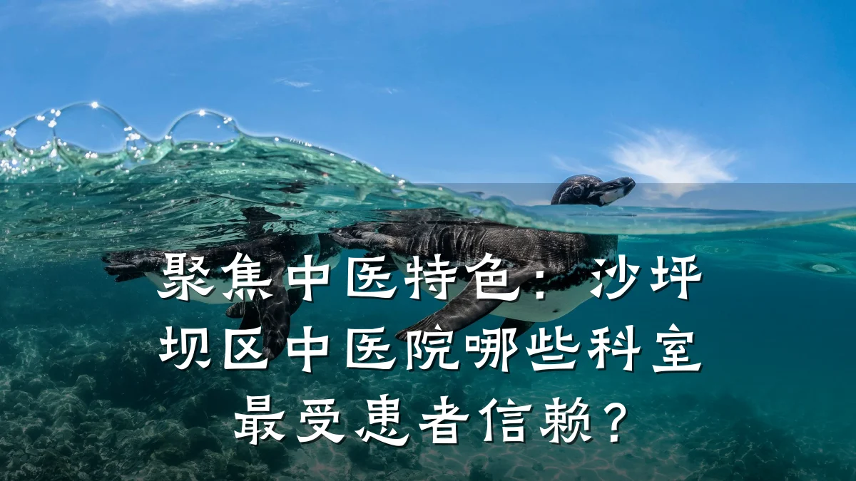 聚焦中医特色:沙坪坝区中医院哪些科室最受患者信赖?