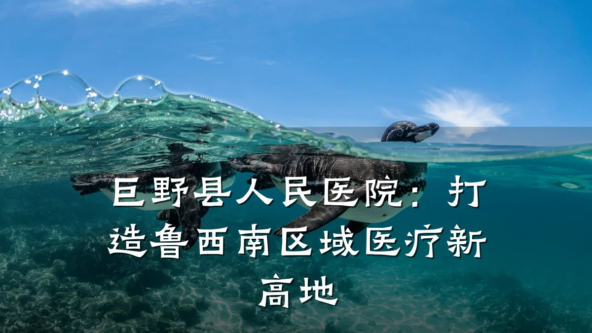 巨野县人民医院:打造鲁西南区域医疗新高地