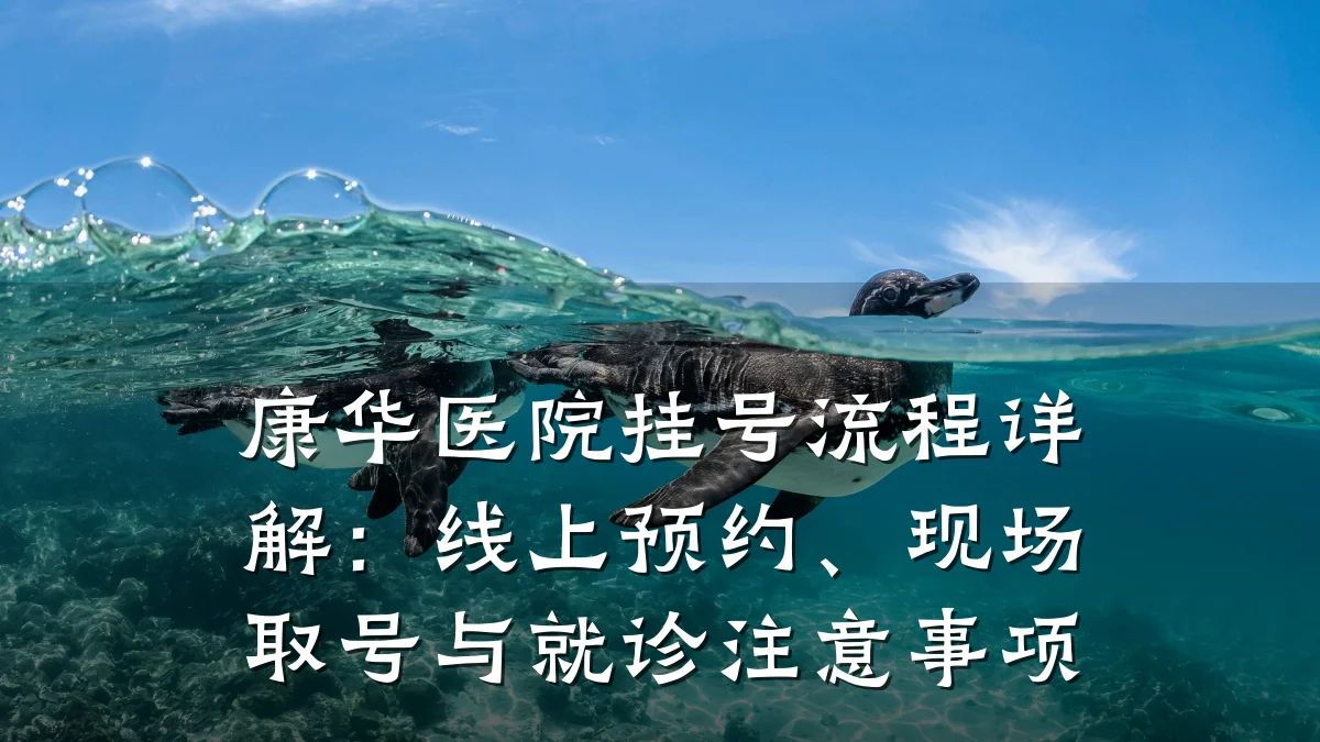 康华医院挂号流程详解:线上预约、现场取号与就诊注意事项