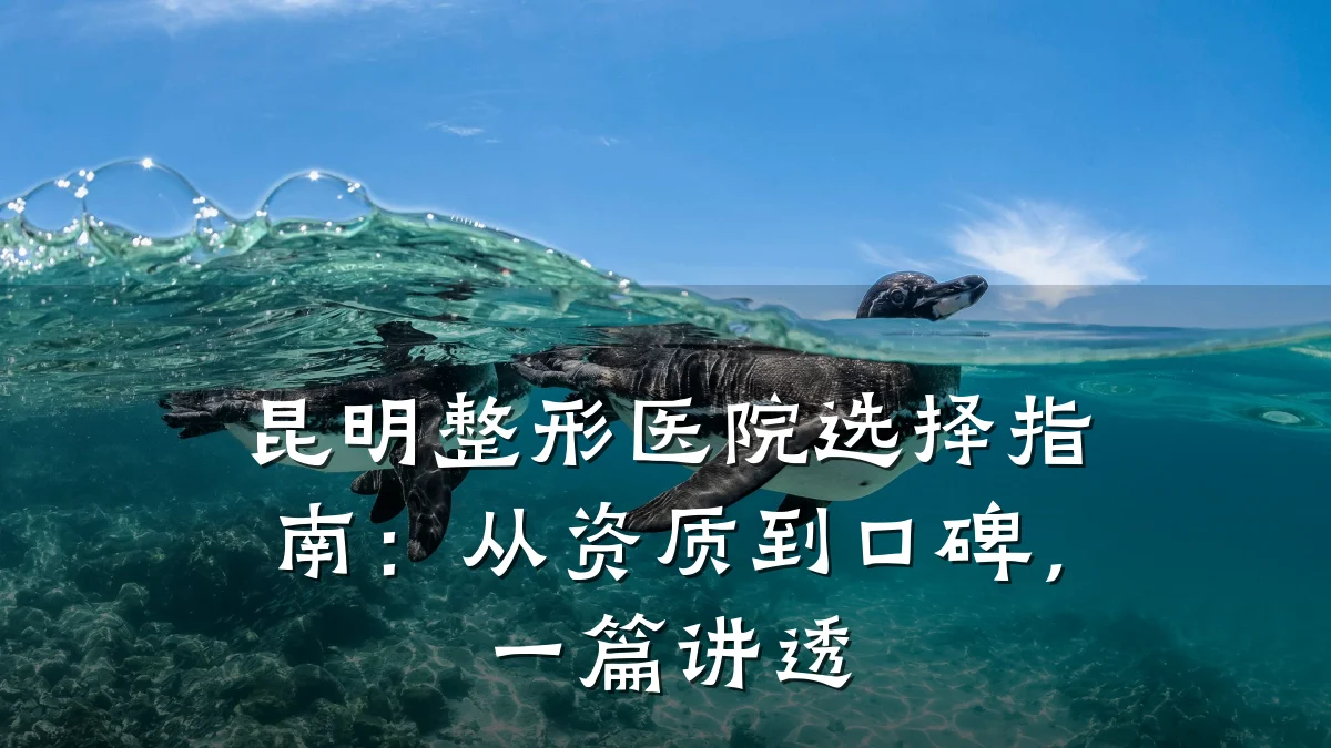 昆明整形医院选择指南:从资质到口碑,一篇讲透