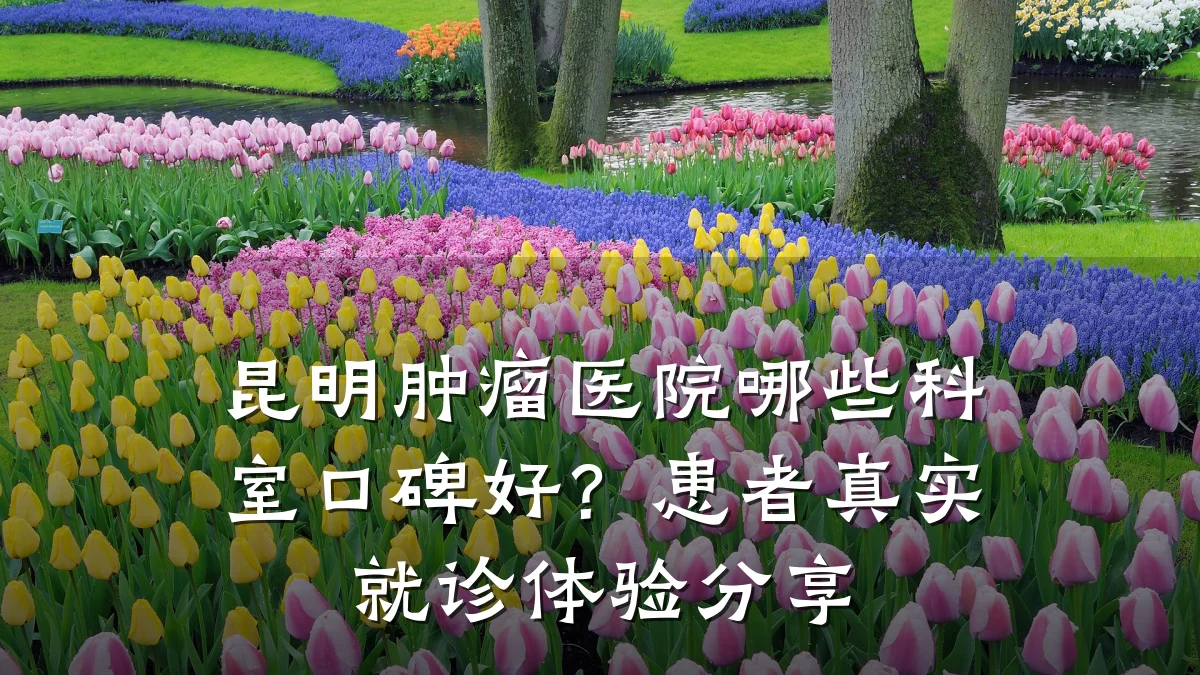 昆明肿瘤医院哪些科室口碑好?患者真实就诊体验分享